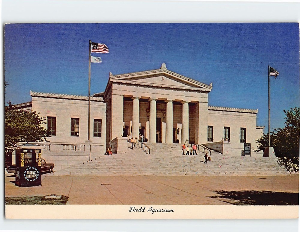 Postcard Shedd Aquarium Chicago Illinois USA