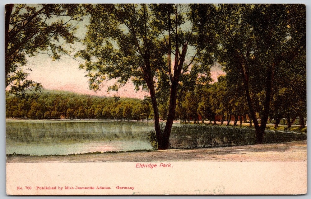 Eldridge Park Elmira NY Lake Scene Trees Reflections ANTIQUE Postcard