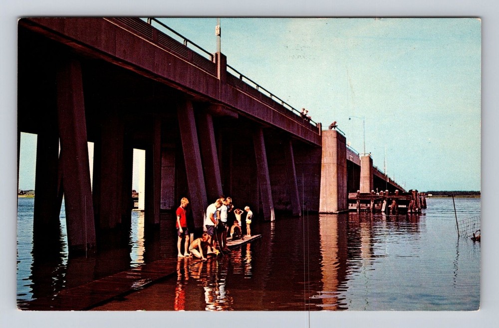 Ocean City MD-Maryland, Boys Fishing Catwalk Highway 50 Bridge, Vintage Postcard