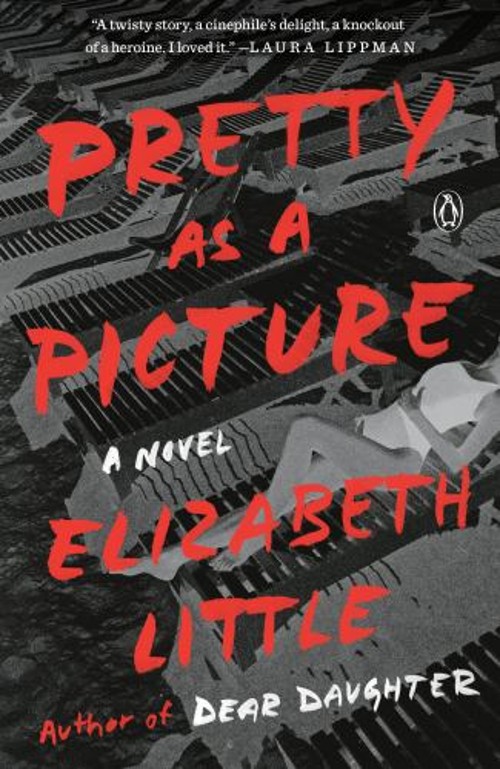 Pretty As a Picture : A Novel Paperback Elizabeth LittleFree US Delivery | ISBN:0143110551