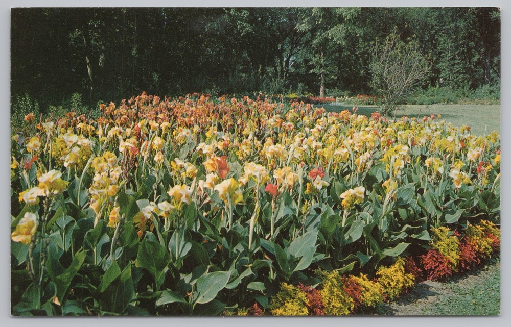 Flowers~Flower Garden Near Lake Harriet Minneapolis MN~Vintage Postcard