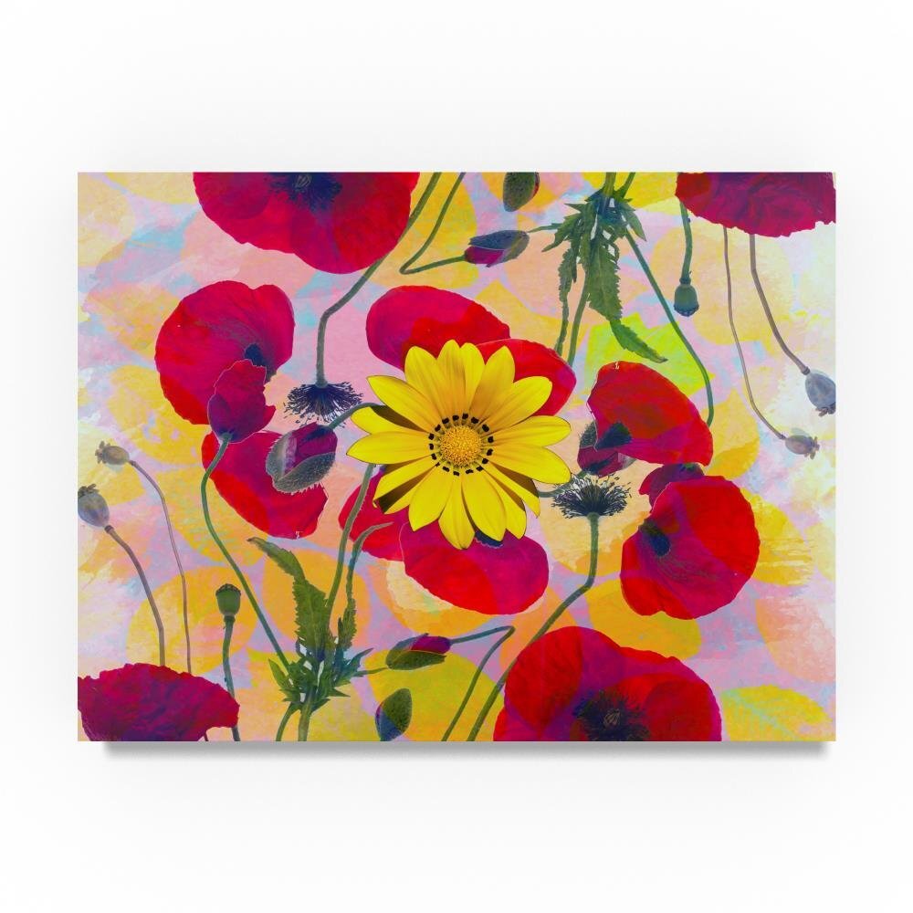 Ata Alishahi Daisy Abstract Wall Décor, 14 x 19
