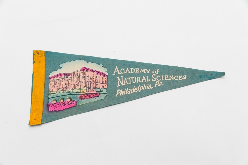 Vintage Academy of Natural Sciences Philadelphia PA Souvenir Felt Pennant 12