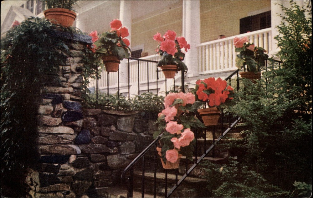 Whitefield New Hampshire Mountain View House geraniums begonias vintage postcard