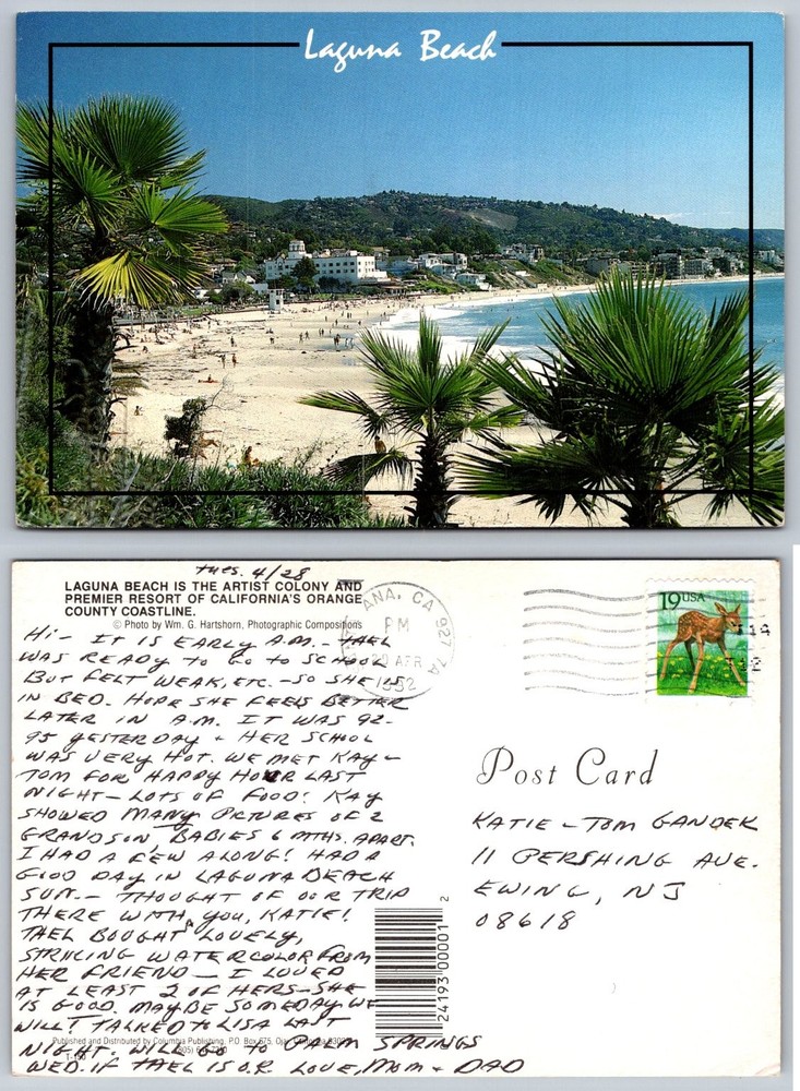 Vintage 1974 Laguna Beach CA Postcard - Palm Trees, Coastline & Ocean View