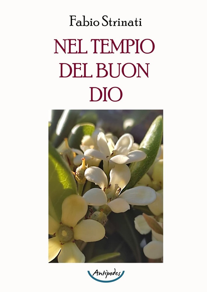 Fabio Strinati Nel tempio del buon Dio (Paperback)Another great item from Rarewaves USA | Free delivery!