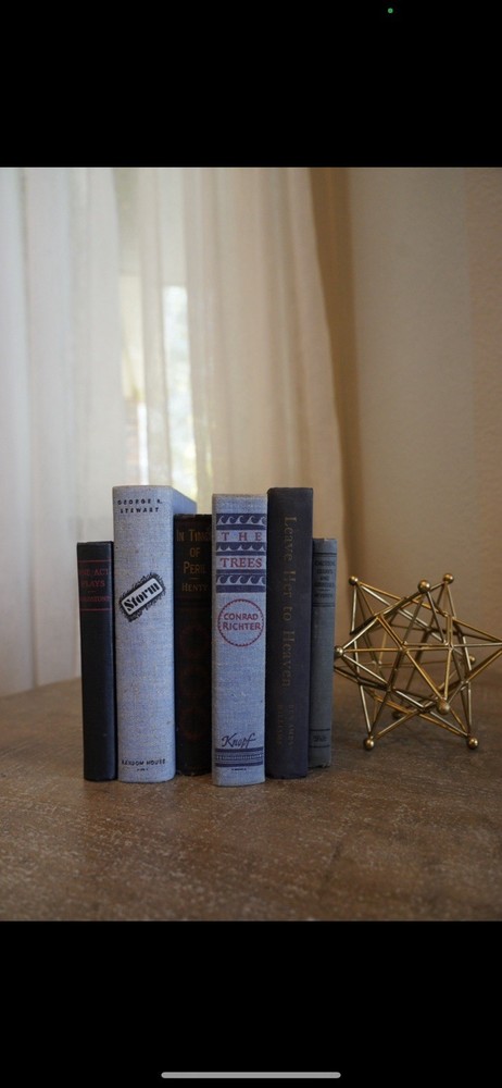 Vintage Book Bundle Hardcover set of 6 for Decor