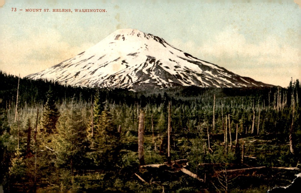 Mount St. Helens, Washington, 1909 Postcard