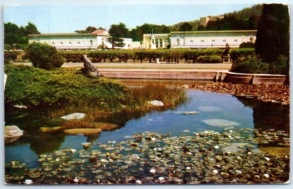 Postcard - California Academy of Sciences, Golden Gate Park, San Francisco, CA-image