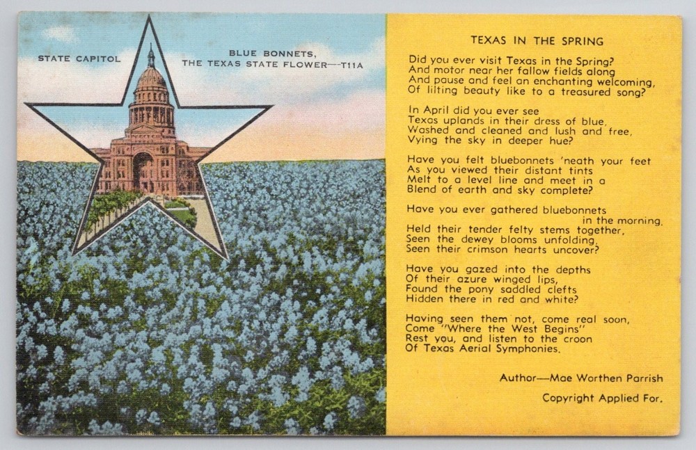 Texas State Capitol & Bluebonnets Postcard - E. C. Kropp Co. Vintage