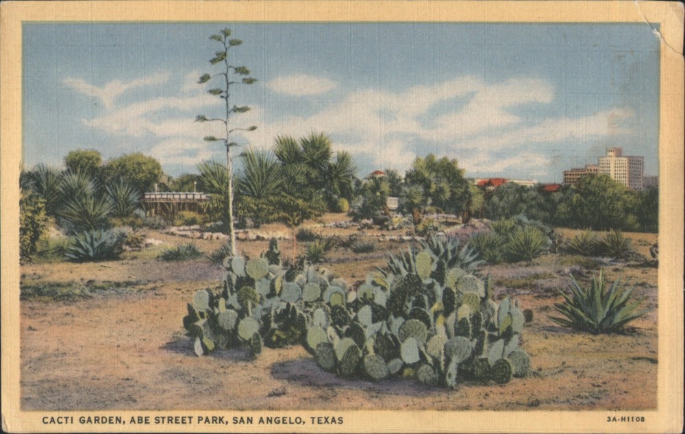 San Angelo, Texas TX Cacti Garden, Abe Street Park Teich Vintage Postcard