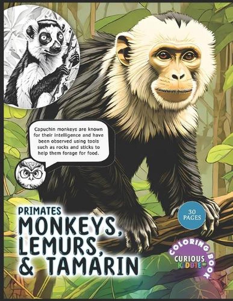 Primates: Monkeys, Lemurs and Tamarin, Kids k-12 Primates Coloring Book: Educati