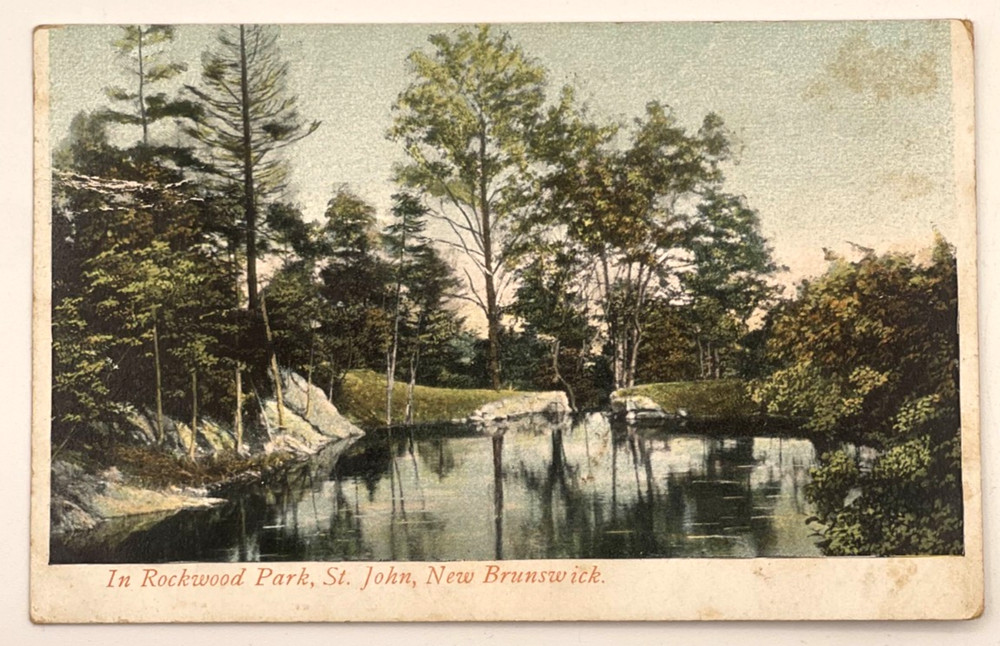 Rockwood Park St John New Brunswick Postcard Lake Trees Canada 1906
