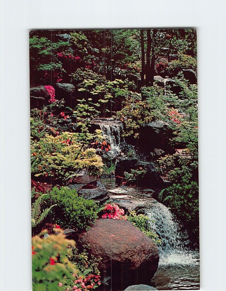 Postcard Hillside Moss Garden Waterfall Japanese Garden Portland Oregon USA