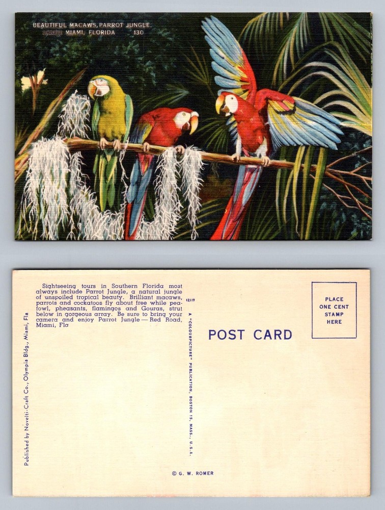 Miami, FL-Florida, Parrot Jungle Colorful Macaws View Vintage Postcard