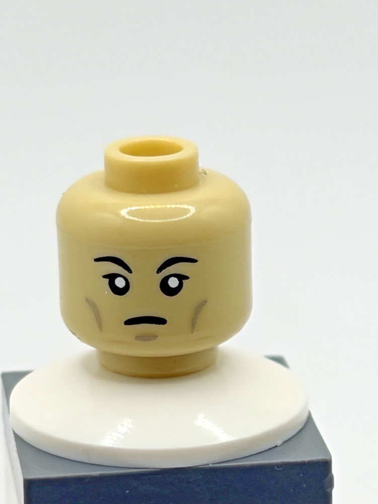 Citizen Brick: Vietcong Head