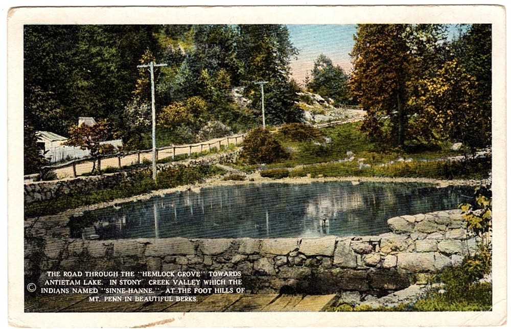 Stony Creek Reading, PA Hemlock Grove near Antietam Lake postcard