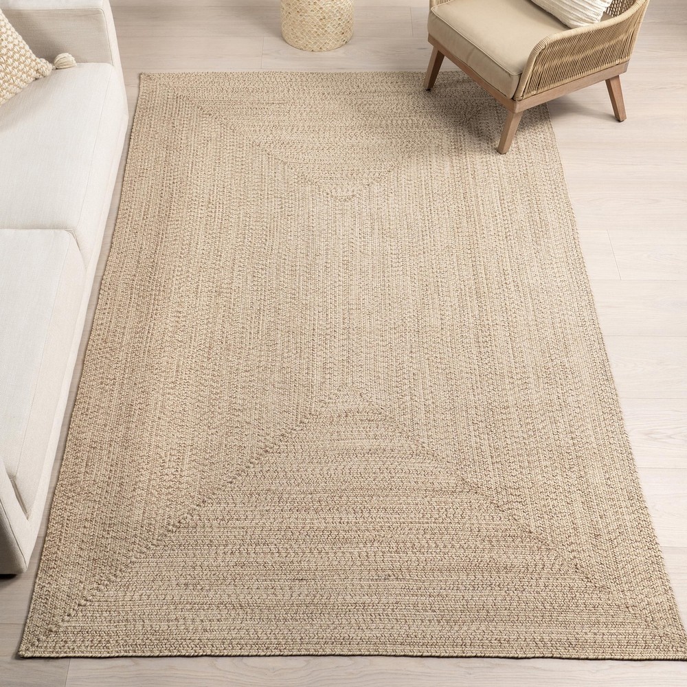 2' x 3' Solid Hand Braided Indoor/Outdoor Area Rug, Pet-Friendly, High Traffi...