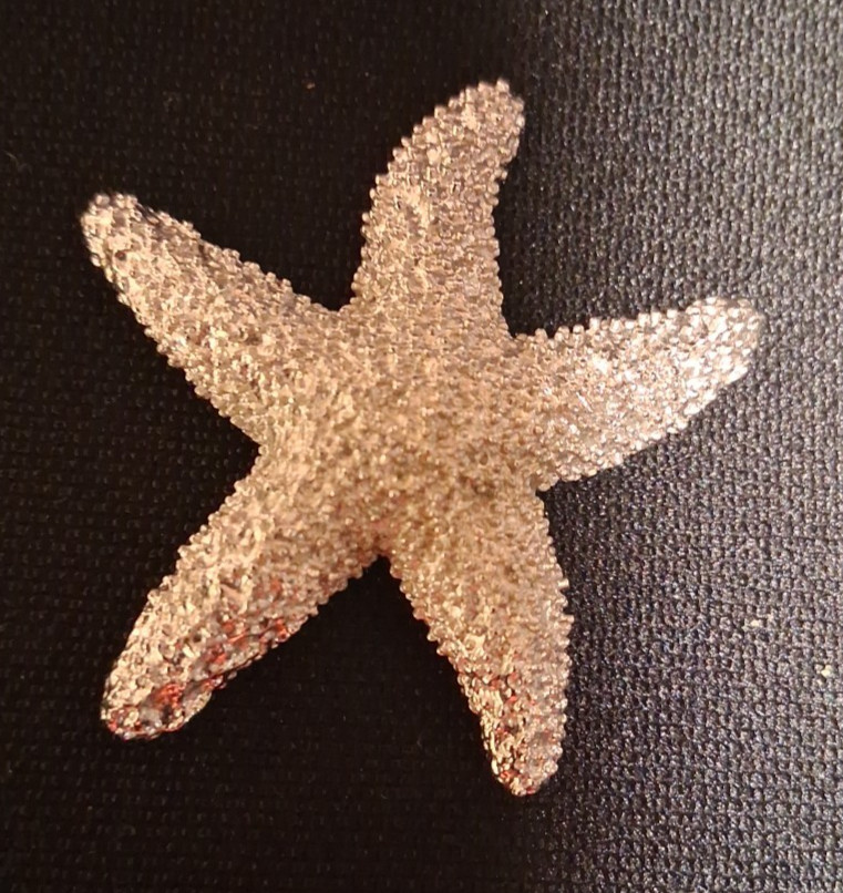 Vintage Crown Trifari Brooch Starfish Textured Silver Tone Pin Beach Brooch