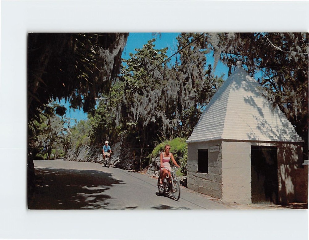 Postcard One of Bermudas country lanes Bermuda British Overseas Territory