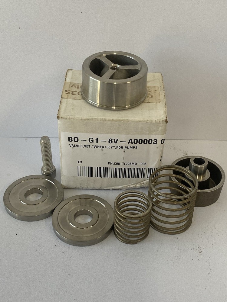 Coorstek R-1 Stainless Steel Check Valve Assembly C98-T225M0-035
