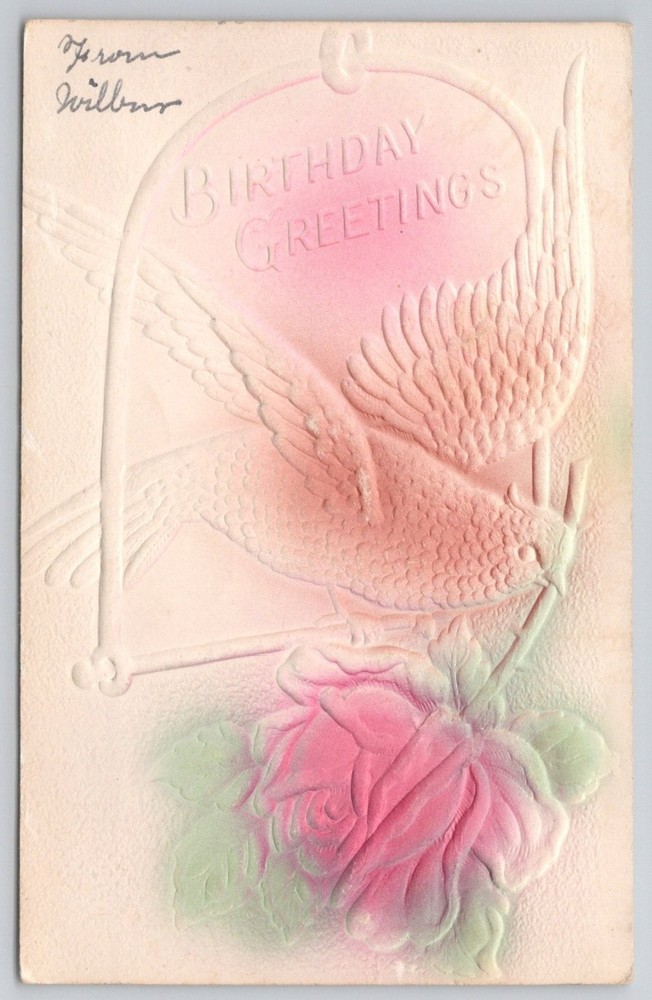 Embossed Birthday Greetings Postcard Dove & Rose Pink Vintage 