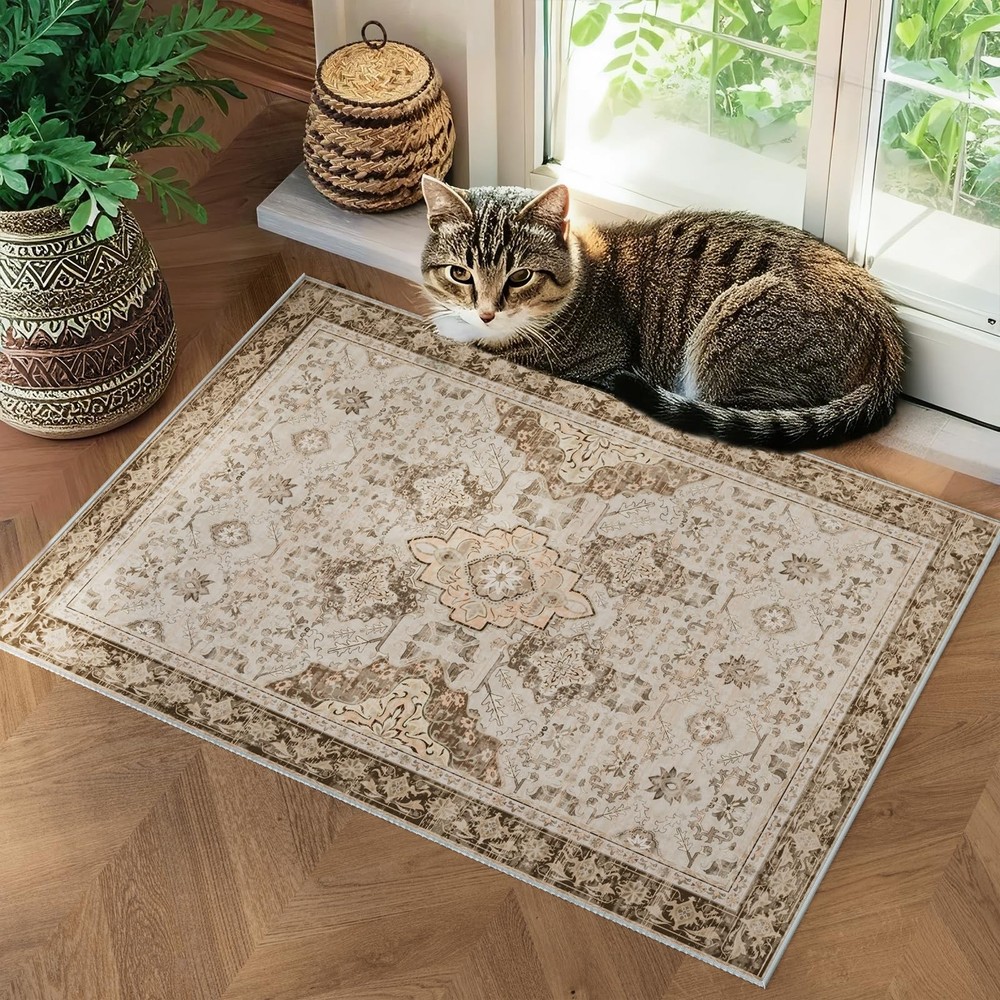 2x3 Washable Entryway Area Rug Door Mat, Vintage Boho Distressed Print Patter...
