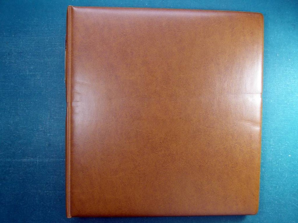 Portugal collection, in album, from 1895 to 1901, new and used stamps, Charles I