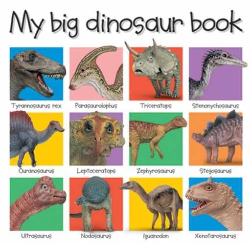 My Big Dinosaur Book - Board book, by Priddy Roger - Acceptable