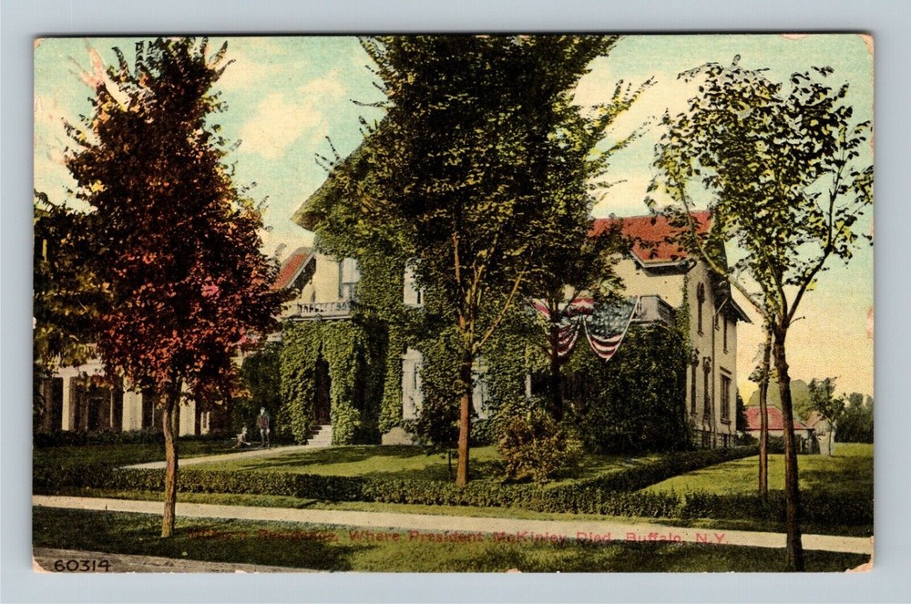 Buffalo NY-New York, Residence Where President McKinley Died Vintage Postcard