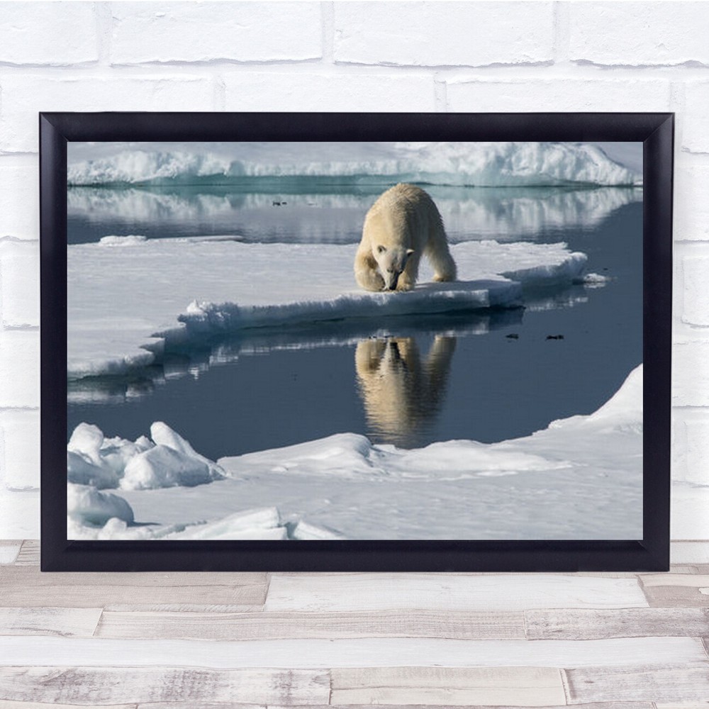 In The Mirror Arctic Polarbear Arctic-Ocean Wall Art Print