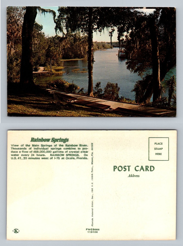 Dunnellon, FL-Florida, Rainbow River Main Springs Scenic View Vintage Postcard