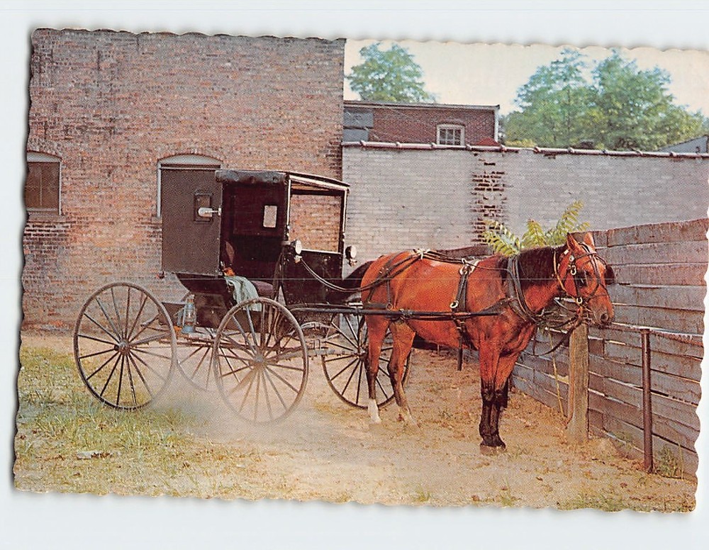 Postcard Horse & Buggy Parking Lot Goshen Indiana USA