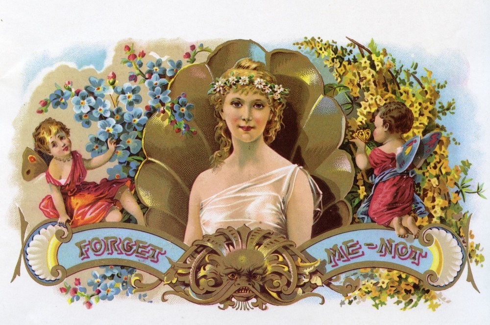 Decor Forget me not flower Poster. Fine Graphic Art Design. Home Wall Art. 2005