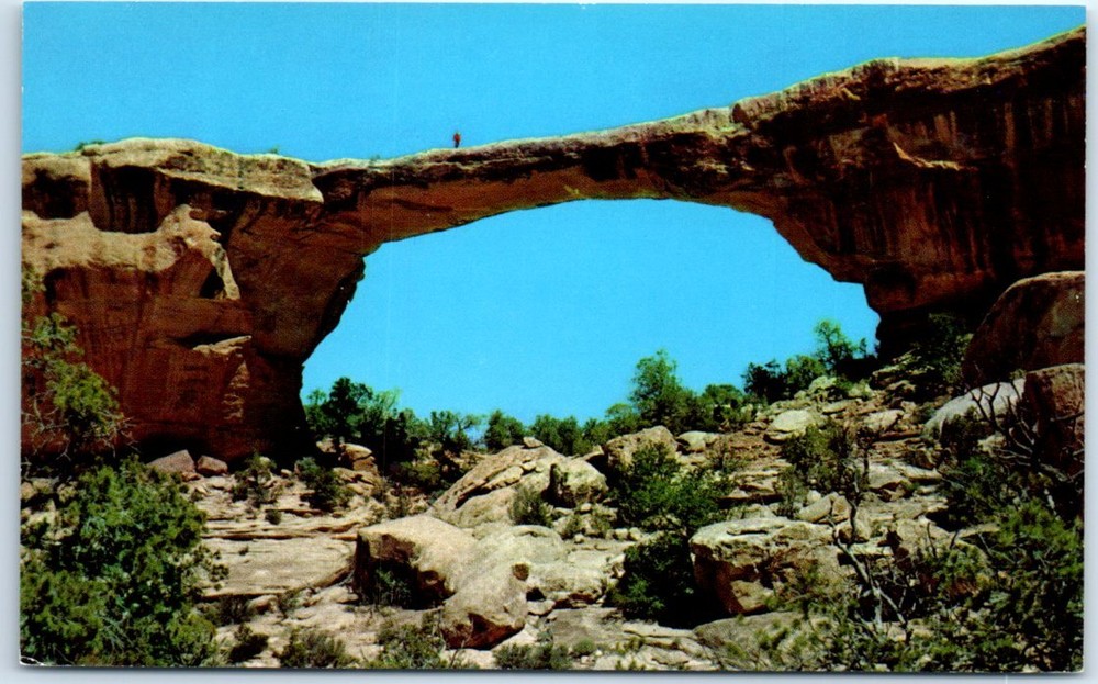 Postcard - Owachomo (Rock Mound) Natural Bridges National Monument - Utah