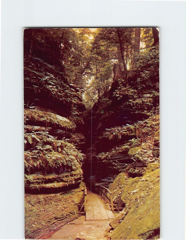 Postcard In Cold Water Canyon Wisconsin Dells Wisconsin USA
