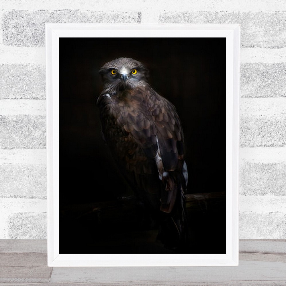 Yellow Look Eagle Perched Wall Art Print