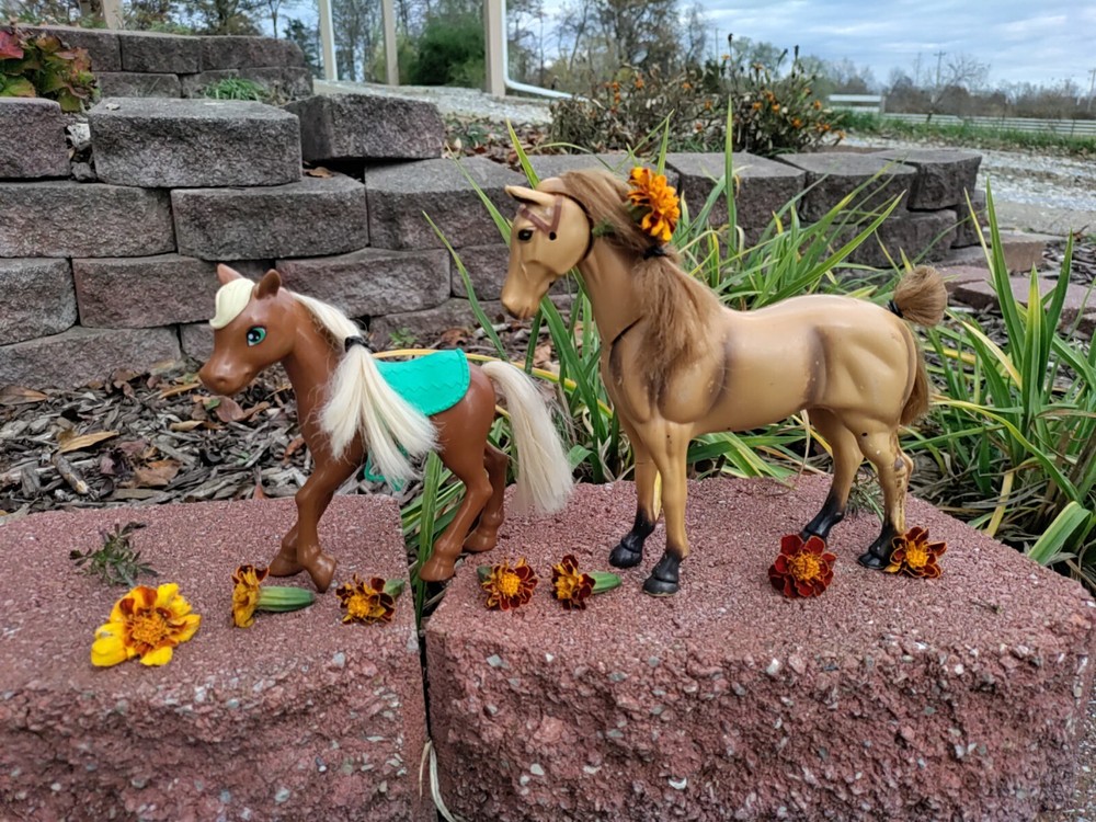 Horse And Pony Lot Of Two With Teal Saddle
