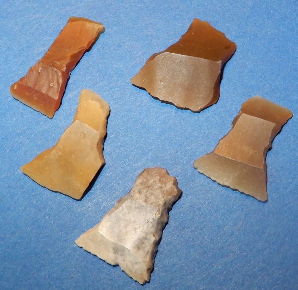 5 ARROW POINT's Transverse edge,  Arrow-Points. DANISH MESOLITHIC STONEAGE