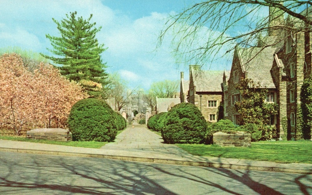Postcard NJ Princeton University Pyne Hall to Blair Tower 1955 Vintage PC H6538