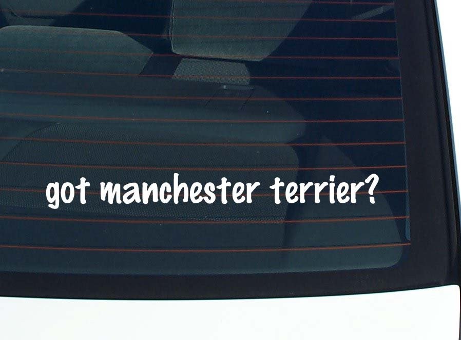 Manchester Terrier Car Decal Funny Bumper Sticker Vinyl Window Joke