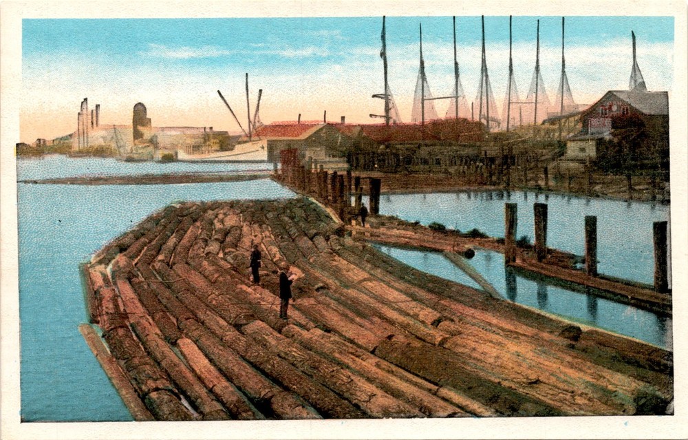 CA, Pacific Novelty Co., San Francisco, Los Angeles, Address, Stamp Postcard