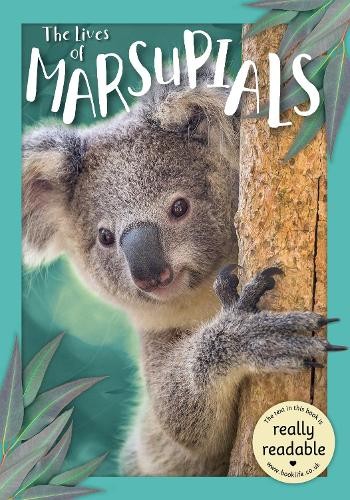 Madeline Tyler The Lives of Marsupials (Paperback) BookLife Accessible ReadersAnother great item from Rarewaves USA | Free delivery!