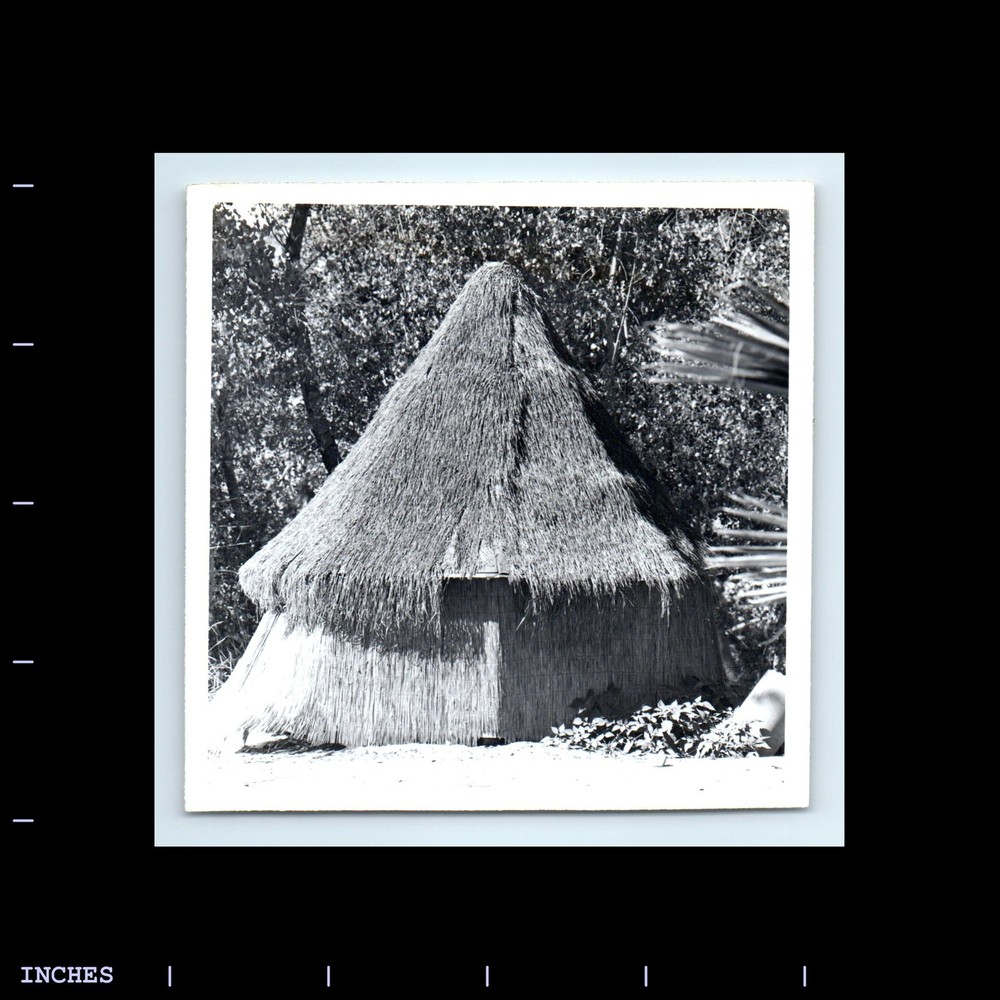 Old Vintage Photo STRAW HUT