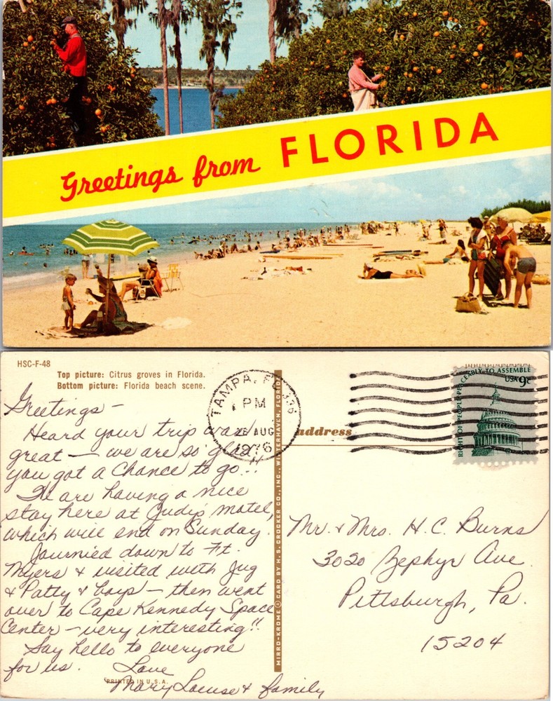 Citrus Groves and Beach Scene Greetings from Florida Postcard