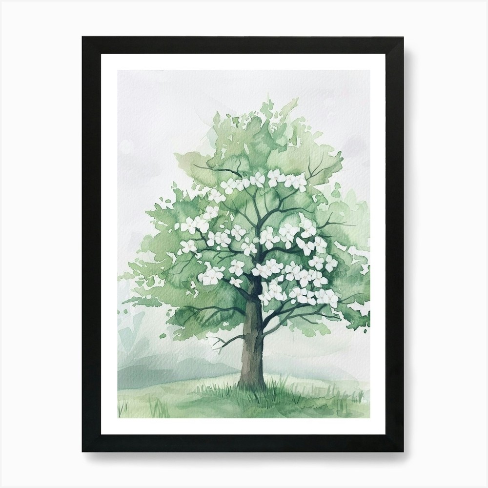 Dogwood Tree Atmospheric Watercolou Framed Wall Art Poster Canvas Print Picture