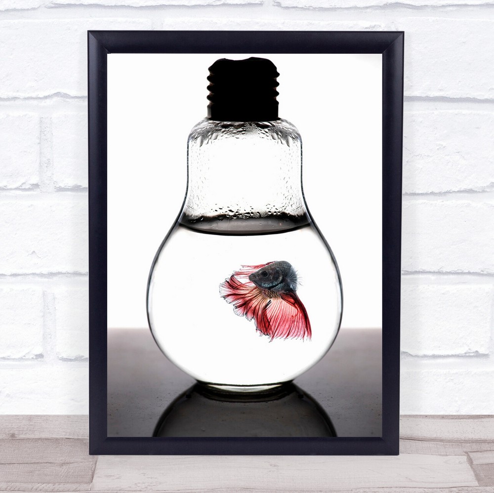 betta fish red Bulb Lightbulb Bulbs Animal Animals Wall Art Print