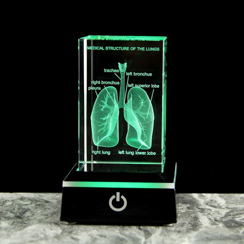 Table Lamp LED 3D Lung Crystal Small Multicolor Modern Novelty Touch USB Decor