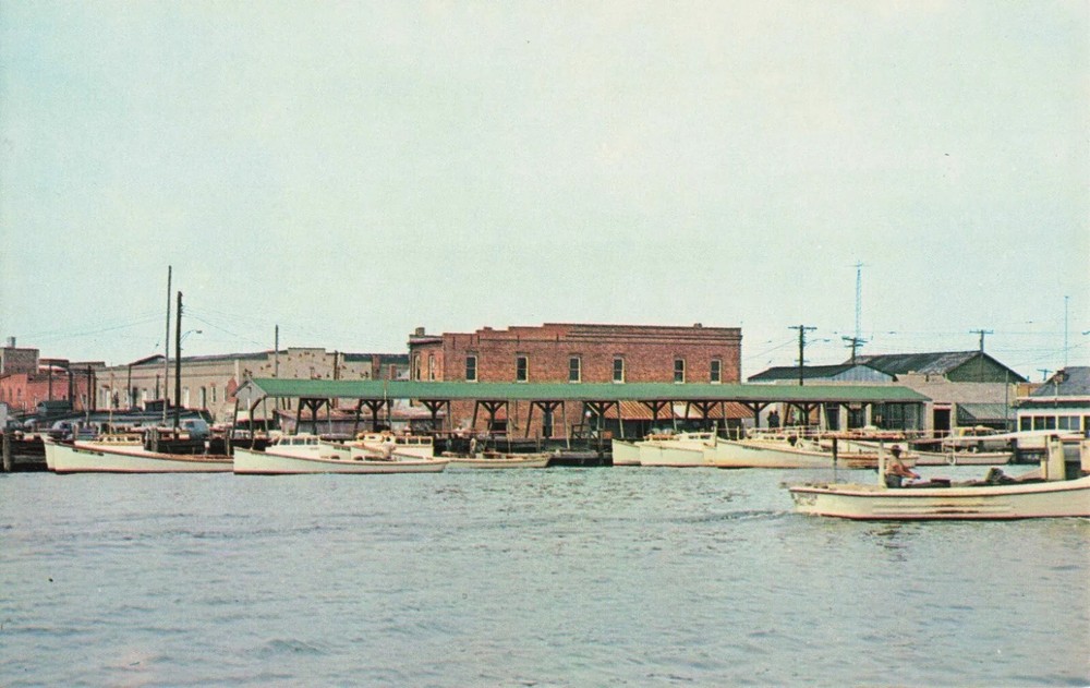 The Marina - Crisfield Maryland MD - Postcard