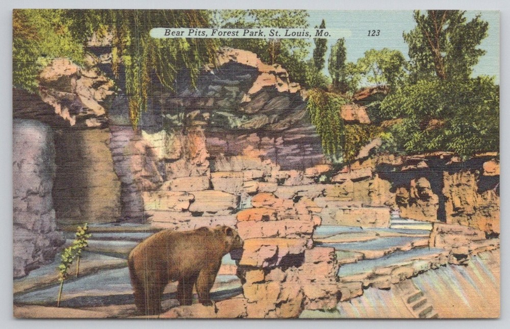 Bear Pits Forest Park St. Louis MO Postcard Tichnor Linen Vintage Posted